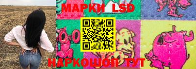 крисы Нальчик