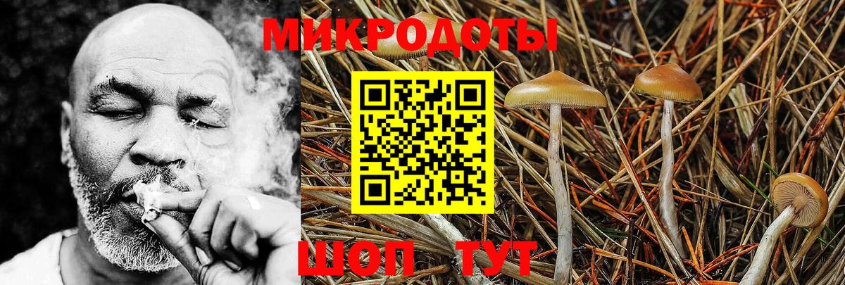 Чайковский  Галлюциногенные грибы мицелий  Вход с VPN 