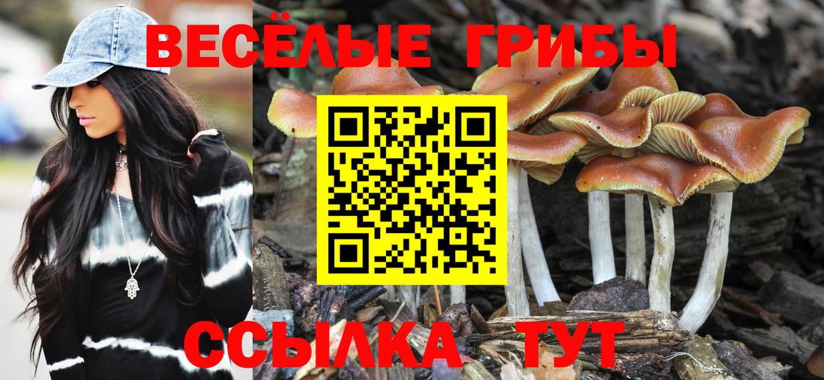 Псилоцибиновые грибы Psilocybine cubensis Чайковский