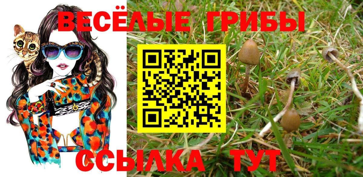 Галлюциногенные грибы MAGIC MUSHROOMS Чайковский